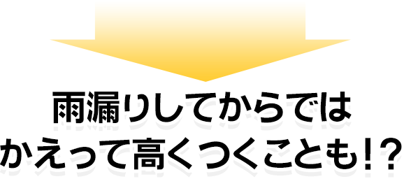 雨漏りしてからでは
かえって高くつくことも!?